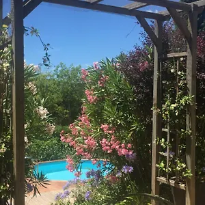 Warblers View Biot